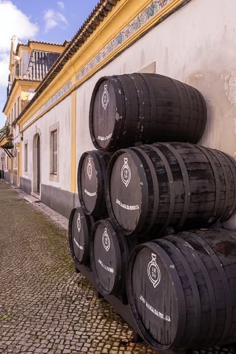 Premium Portuguese Wine Tasting 1